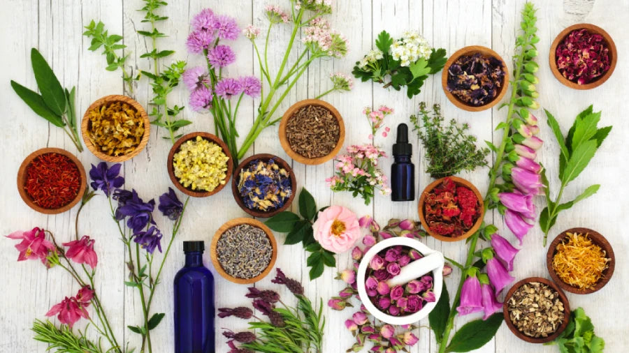 Is there a difference between herbal and ayurvedic products?